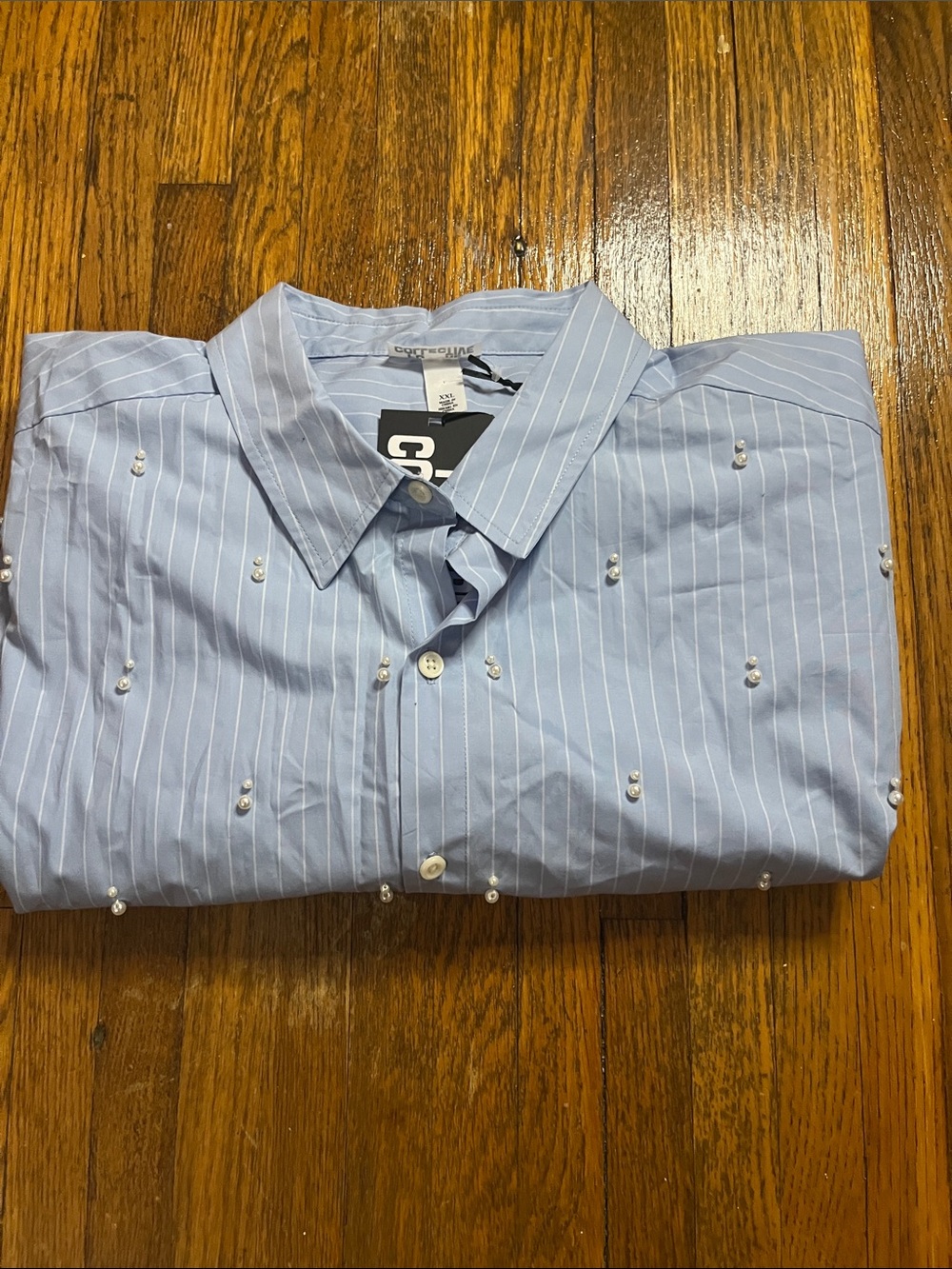 Future Collective Light Blue Pinstripe Embroidered Women's Blouse